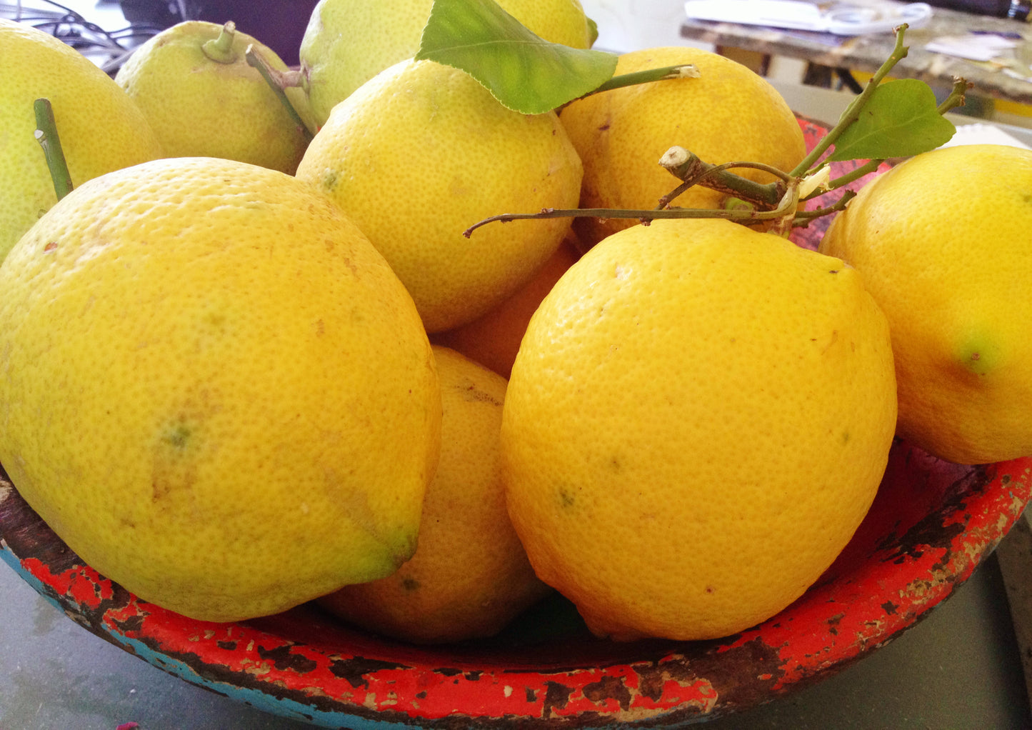 SLICED SPICED LEMONS